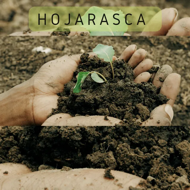 Hojarasca