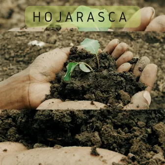 Hojarasca by ybnt dejando huella