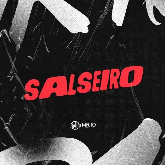 SALSEIRO by MC SALEZ