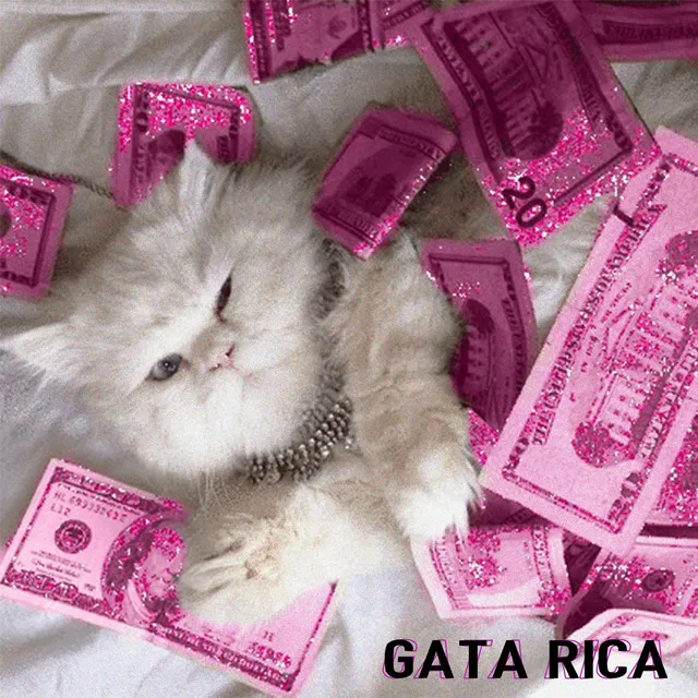 Gata Rica