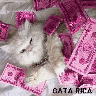 Gata Rica by Modera