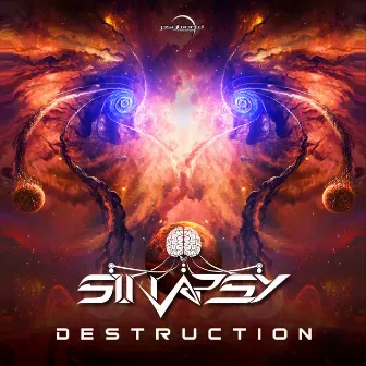 Destruction by Sinapsy