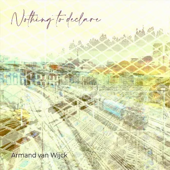 Nothing to Declare by Armand van Wijck