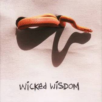 Wicked Wisdom by Wicked Wisdom