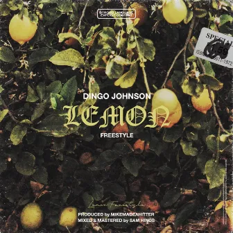 Lemon Freestyle by Dingo Johnson