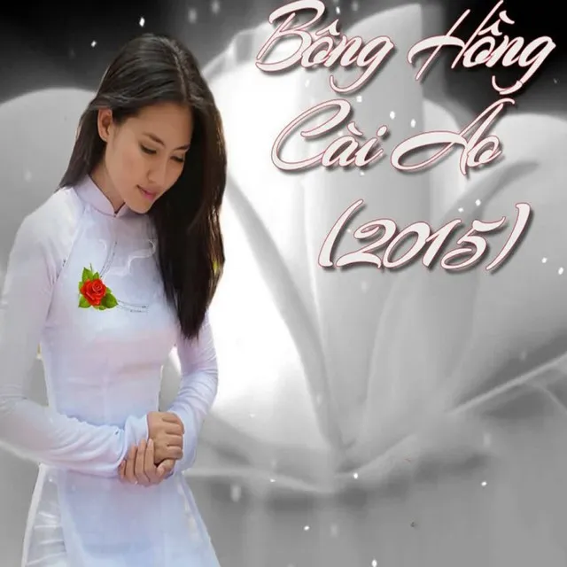 Bông Hồng Cài Áo 2015