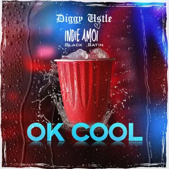 Ok Cool by Diggy Ustle