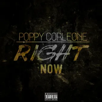 Right Now by Poppy Corleone