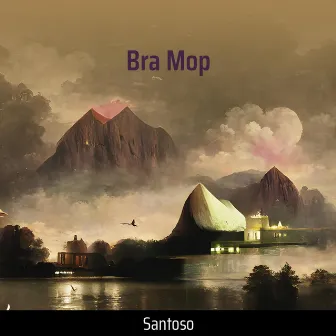 Bra Mop by Santoso