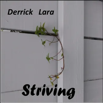 Striving by Derrick Lara