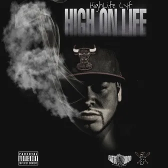 High on Life by HighLife Cyf