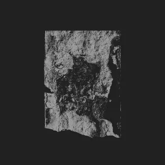 WORD EP by SHXCXCHCXSH