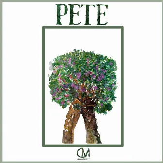 Pete by Checkmate Mido