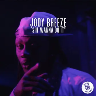 She Wanna Do It by Jody Breeze