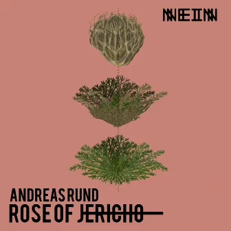 Rose of Jericho by Andreas Rund