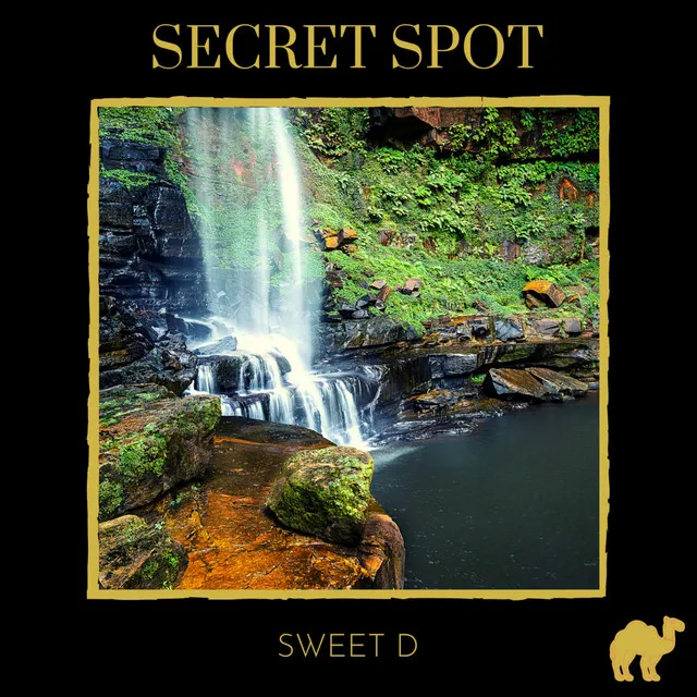 Secret Spot - Interlude