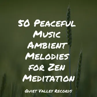 50 Peaceful Music Ambient Melodies for Zen Meditation by Sons da Natureza