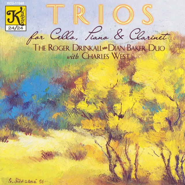 Fantasy Trio, Op. 26: IV. Andante molto e sostenuto