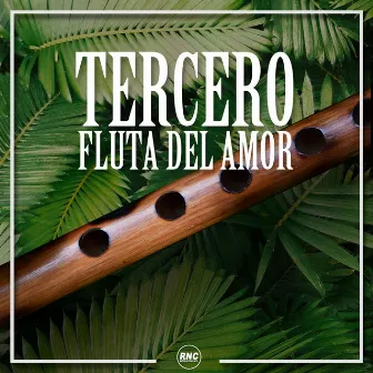 Fluta Del Amor by Tercero