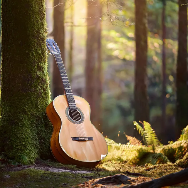 Open Plains Guitar