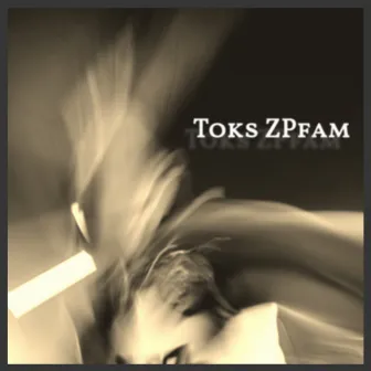 FEAT. 2010-2013 by Toks ZPfam