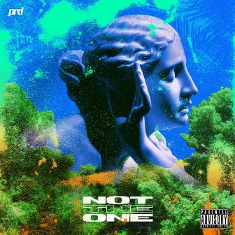 Not The One by BTG Ent