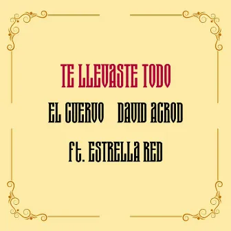 Te llevaste todo by Unknown Artist