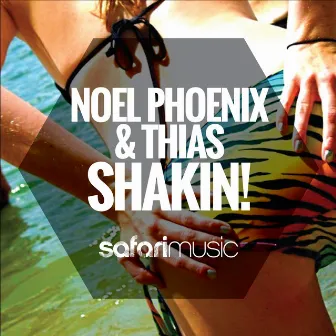 Shakin! by Noel Phoenix