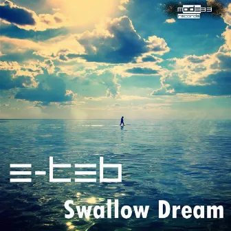 Swallow Dream by E-Teb