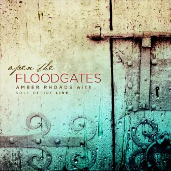 Open the Floodgates (Live) by Amber Rhoads