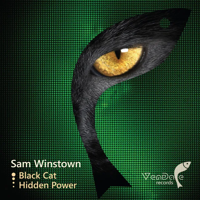 Hidden Power - Original Mix