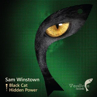 Black Cat / Hidden Power by Sam Winstown