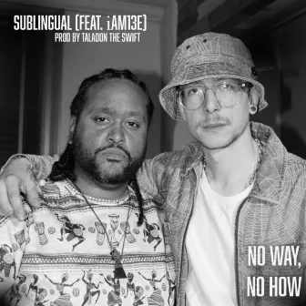 No Way, No How by Sublingual