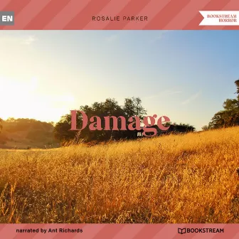 Damage (Unabridged) by Ant Richards