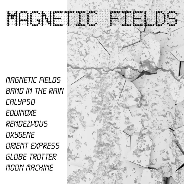 Magnetic Fields