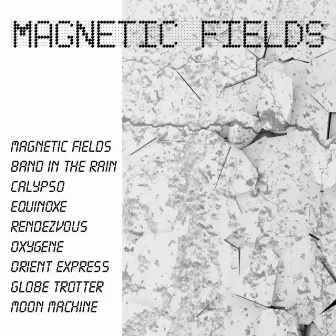 Magnetic Fields by Max Down