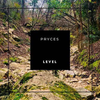 Level by Pryces