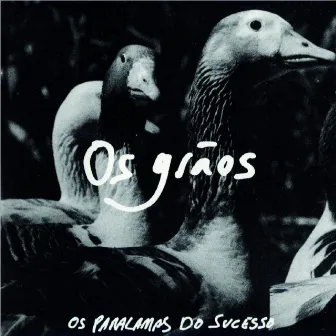 Os Grãos by Os Paralamas Do Sucesso