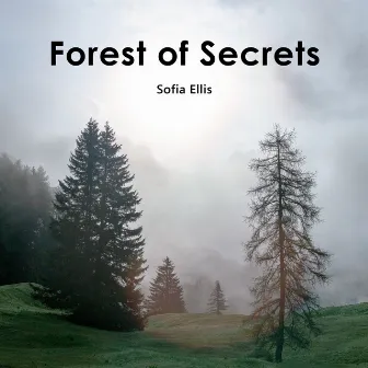 Forest Of Secrets by Sofia Ellis