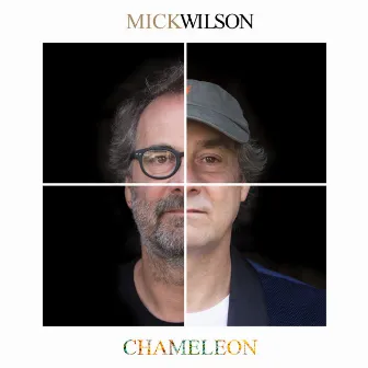 Chameleon by Mick Wilson