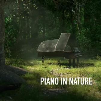 Piano in Nature by Laurent Denis