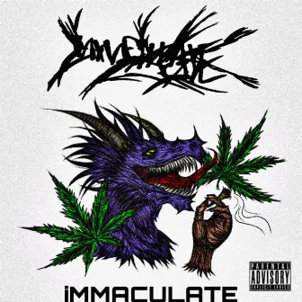 iMMACULATE by iNFiNiTE MANE