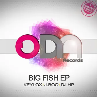 Big Fish EP by Dj Hp