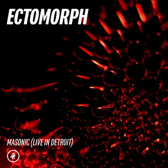 Masonic (Live in Detroit) by Ectomorph