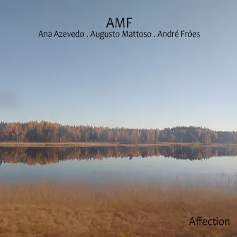 AMF by Augusto Mattoso