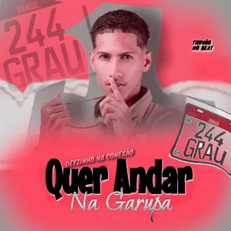 Quer Andar na Garupa by Deyzinho Mc