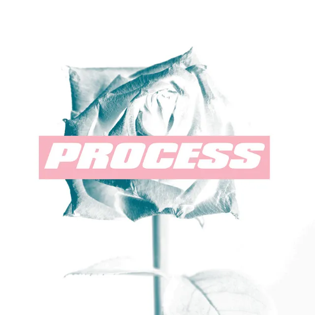 Process