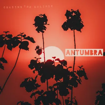 Antumbra by Chasing The Eclipse