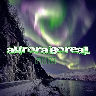 Aurora Boreal by FNM