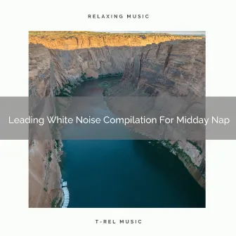 Leading White Noise Compilation For Midday Nap by Calming Brown Restful Sounds